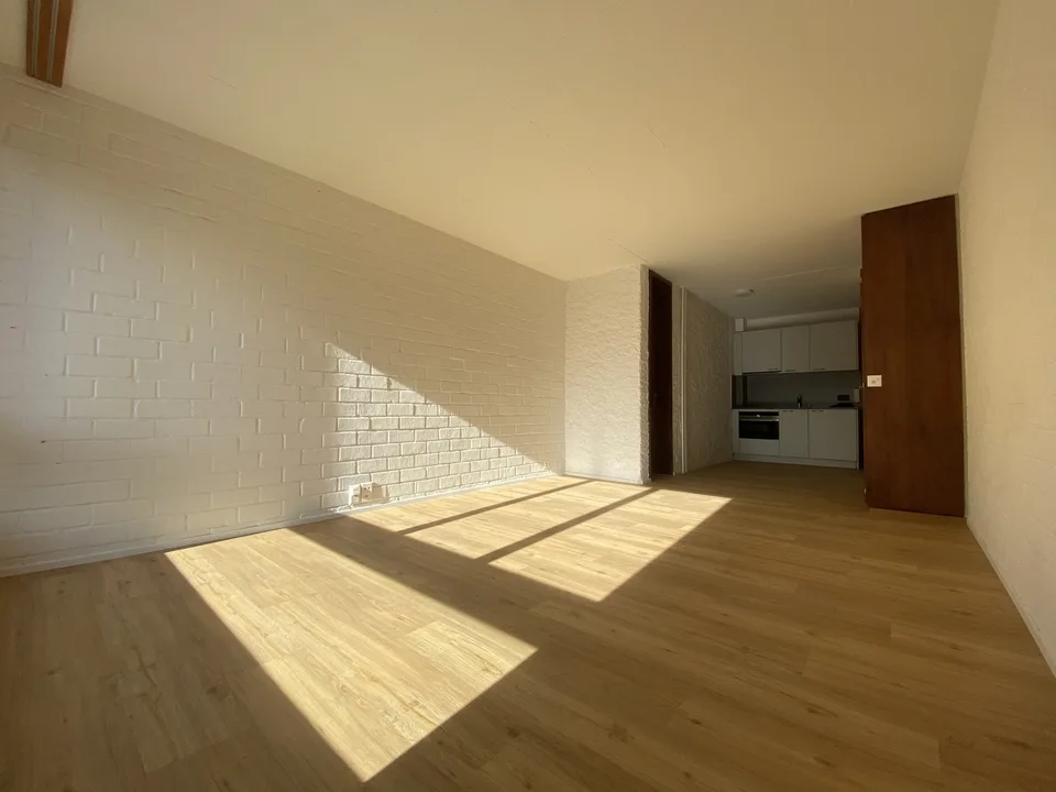 1 Bedroom Apartment, 3013 Bern