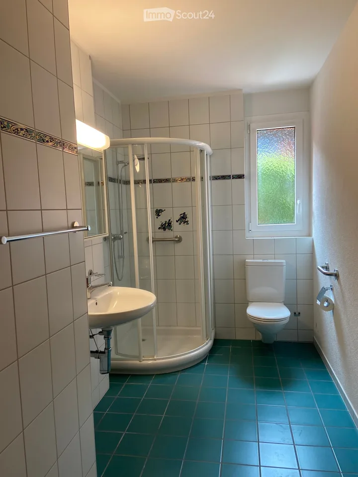 Doppeleinfamilienhaus in Bassersdorf
