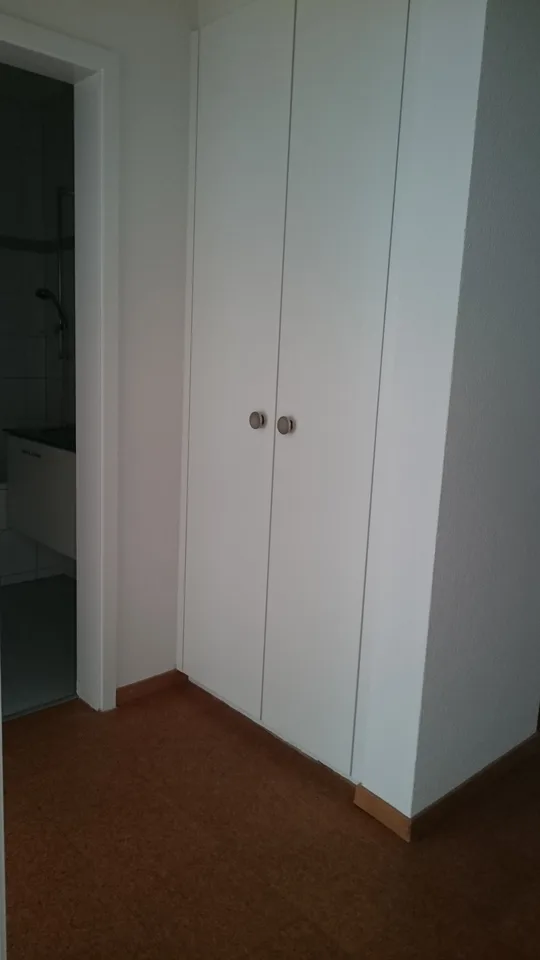 Charmante 4-Zimmer-Altbauwohnung im Hochparterre in Bern-Breitenrain