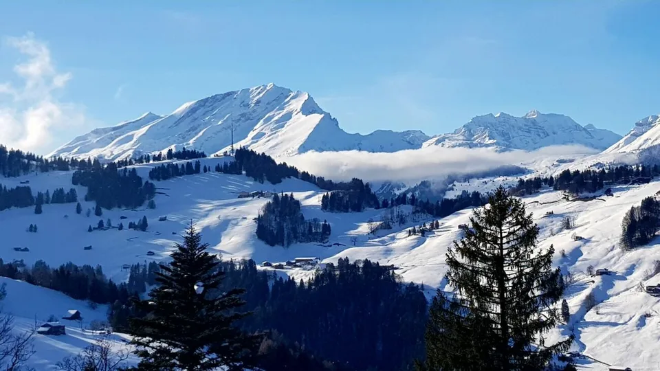 Chalet in Grüsch Cavadura