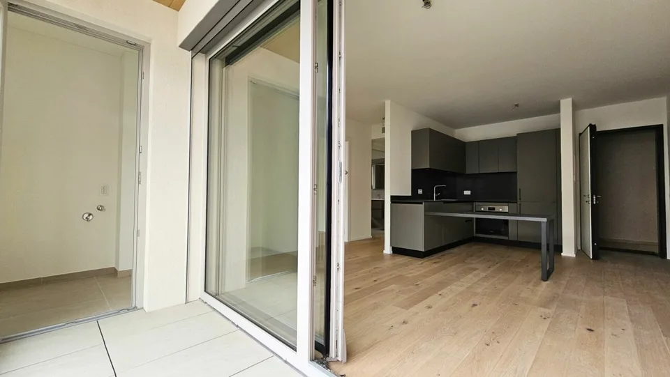Letztes Apartment im letzten Stock in Chiasso
