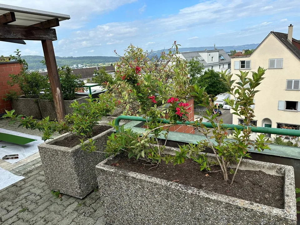Appartement maisonnette exclusif avec accès direct en ascenseur et terrasse sur le toit de rêve