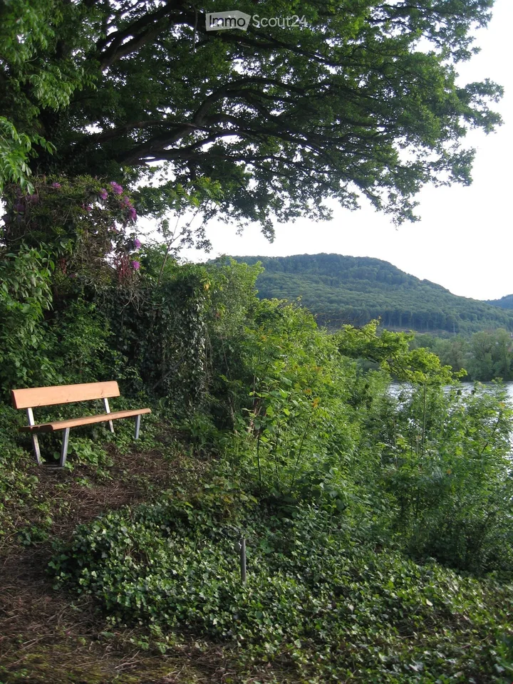 Appartement dans une villa historique avec un grand balcon sud et vue sur le Rhin