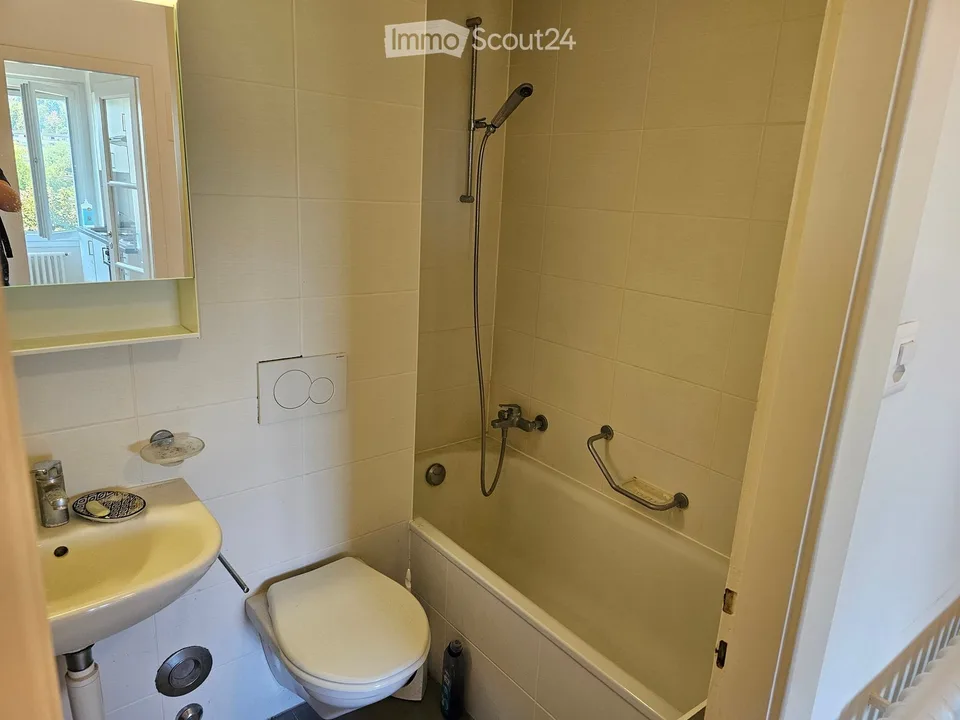 Charmantes 1.5-Zimmer-Wohnung mit angenehmer Aussicht in Lausanne