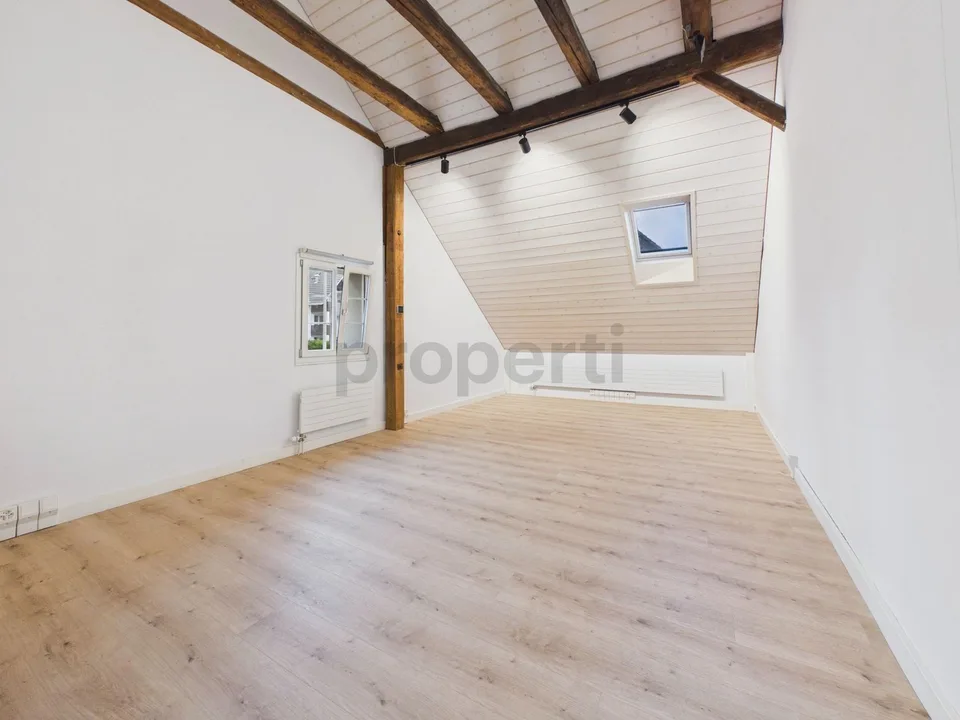 Renovated semi-detached house with spacious terrace