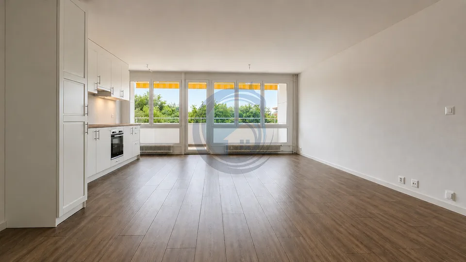 PRÄCHTIGES 4,5-ZIMMER-WOHNUNG, GANZ RENOVIERTE DURCHGANGSWOHNUNG