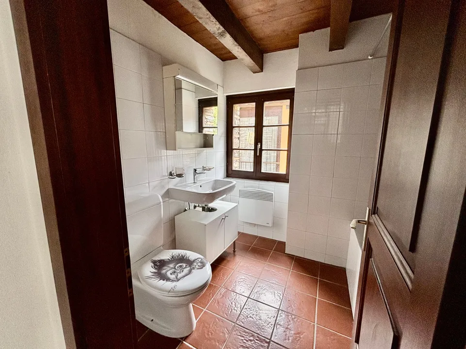 Charmantes Rustico in Miglieglia – 3 Zimmer mit Charakter