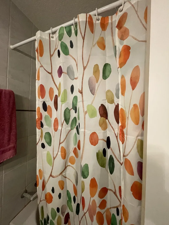 1 chambre en colocation à Berne disponible
