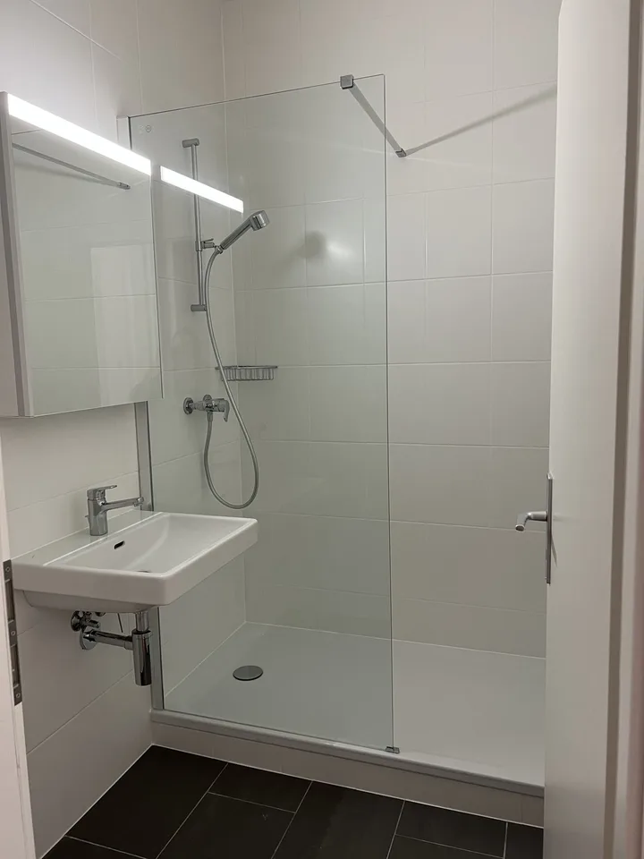 Übernahme des Mietvertrags Schönes 3-Zimmer-Apartment in Plainpalais