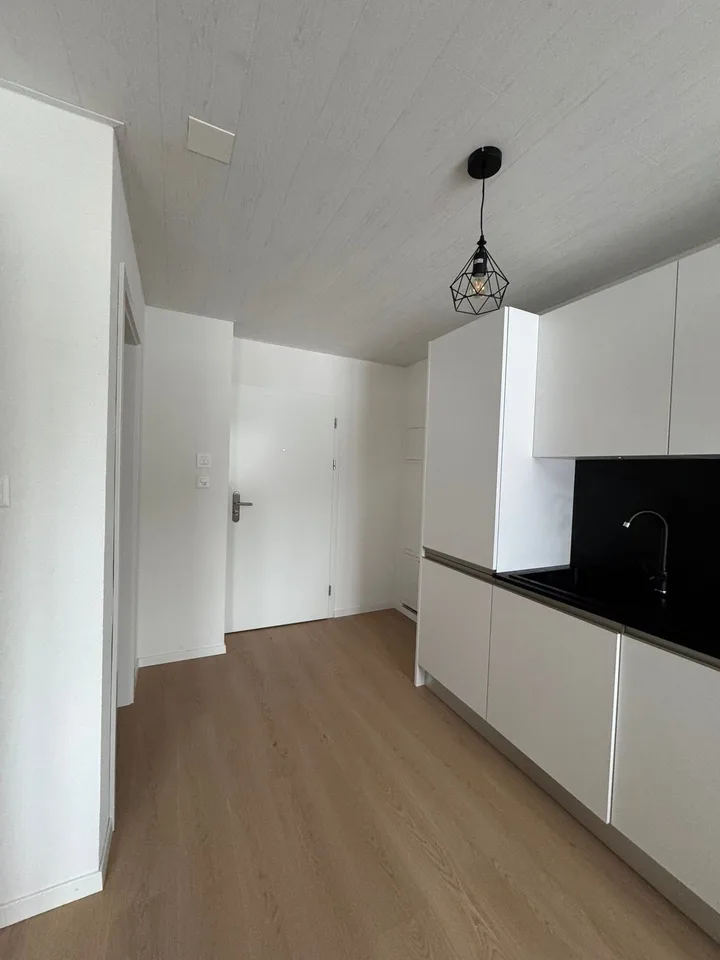 Schönes möbliertes Studio