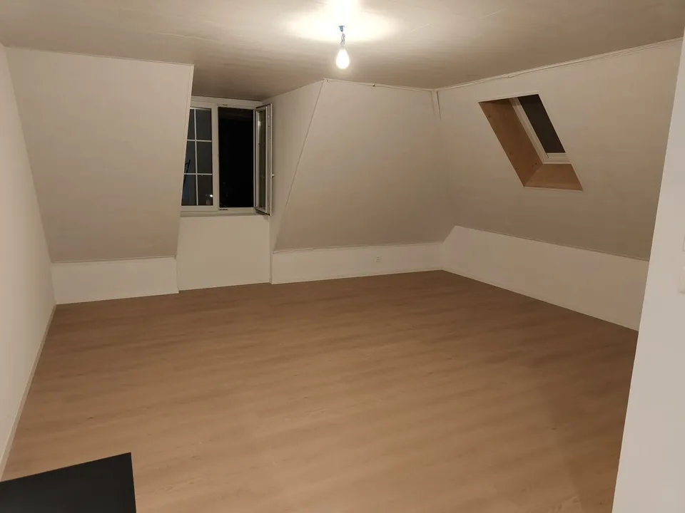 Grand appartement lumineux de 2,5 pièces