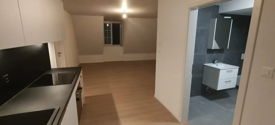 Grand appartement lumineux de 2,5 pièces