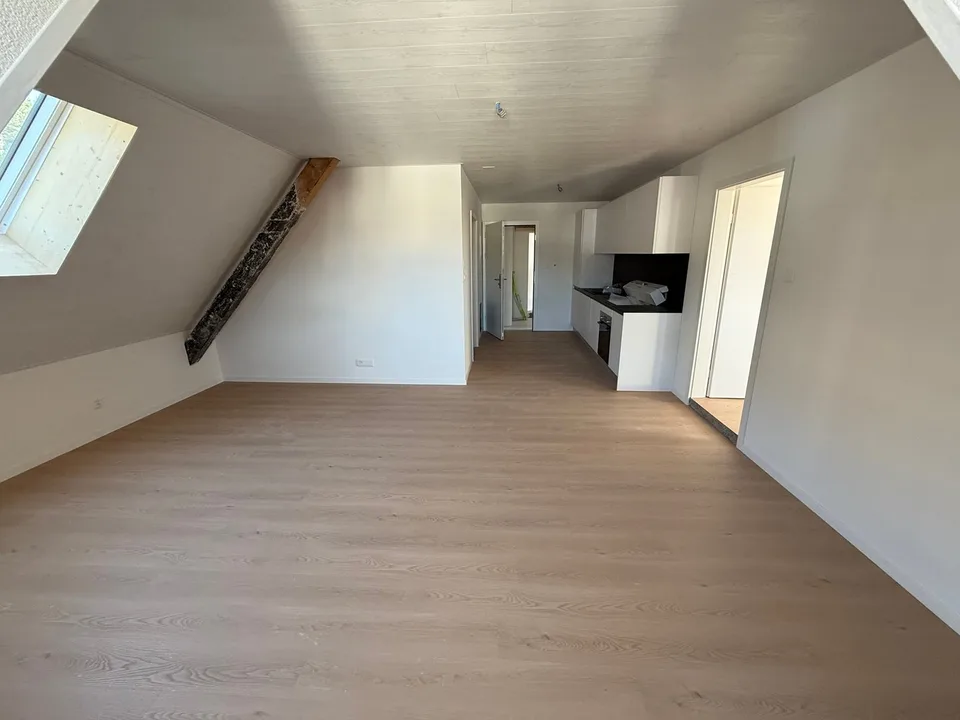 Grand appartement lumineux de 2,5 pièces