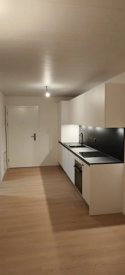 Grand appartement lumineux de 2,5 pièces