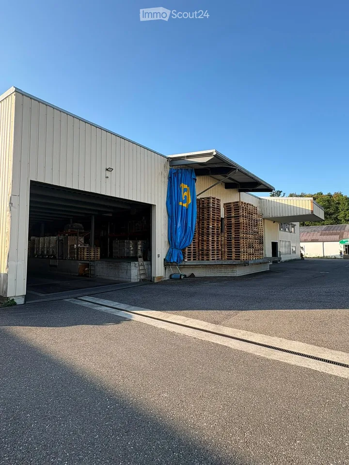 LAGERHALLE / LOGISTIKFLÄCHE ZU VERMIETEN