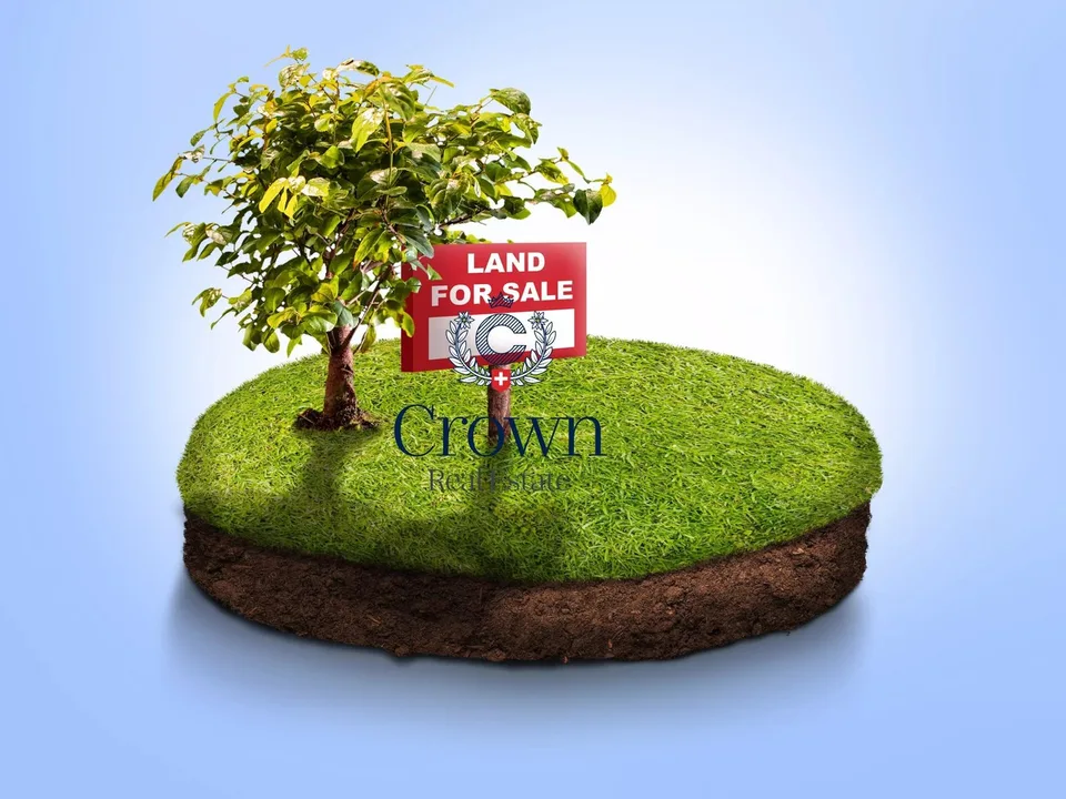 Your future begins here