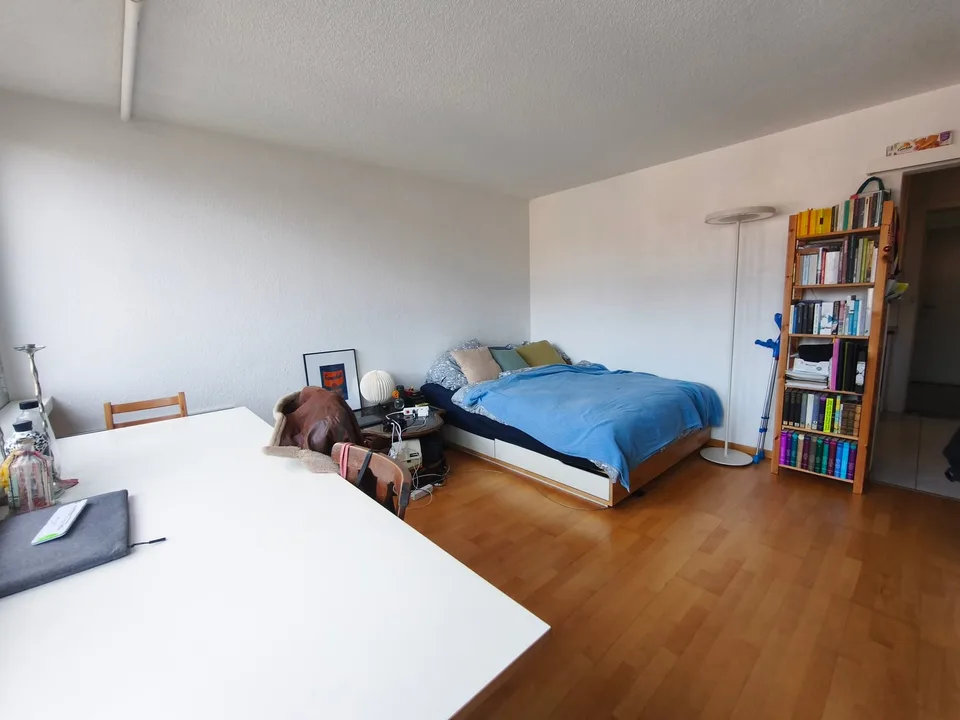 Appartement charmant de 1 pièce au Waldhöheweg à Berne