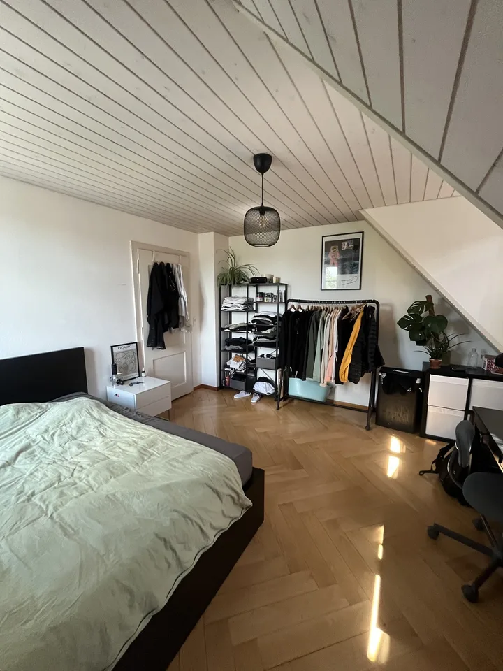 2 ½ Zimmer-Wohnung, 3012 Bern