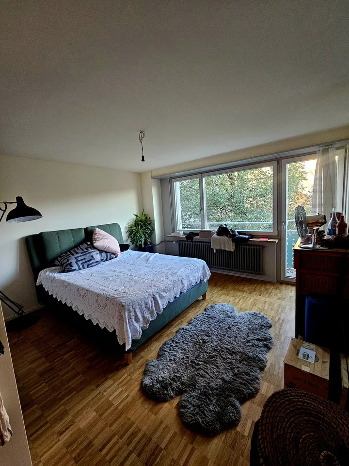 Modern 2.5 room apartment in the heart of Lucerne