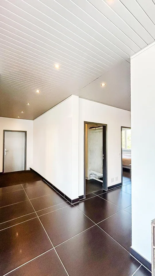 Spacious 4.5 room apartment with plenty of privacy and rooftop terrace