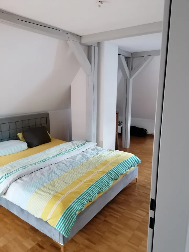 Central apartment with great rooftop terrace