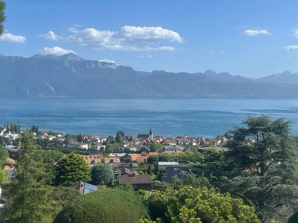 Le lac, les vignes et Lutry à vos pieds!
