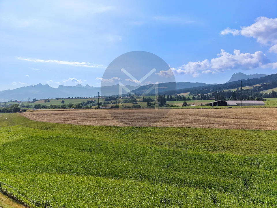 Appartement im Erdgeschoss - www.loreedumoleson.ch - 3.5 86m2
