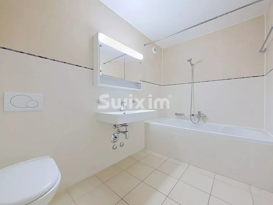 5 rooms Minergie with Mont-Blanc view Nyon Boiron Bois-Bougy