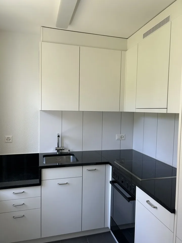 Cozy 1-bedroom apartment for rent in the Friesenberg quarter