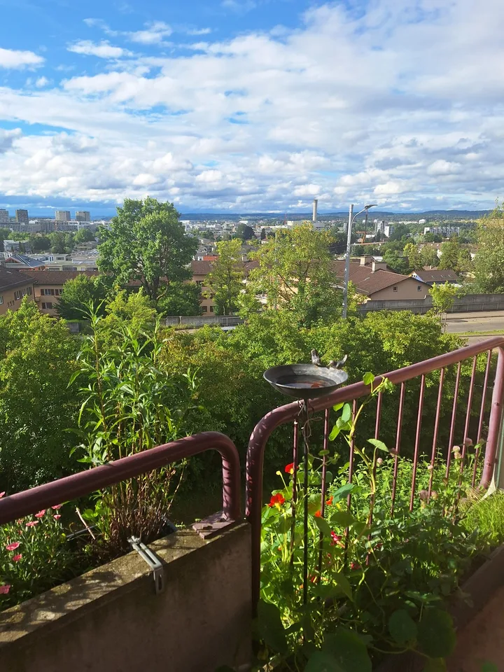 Helle 2,5-Zimmer-Wohnung mit Balkon und Weitsicht am Zürichberg