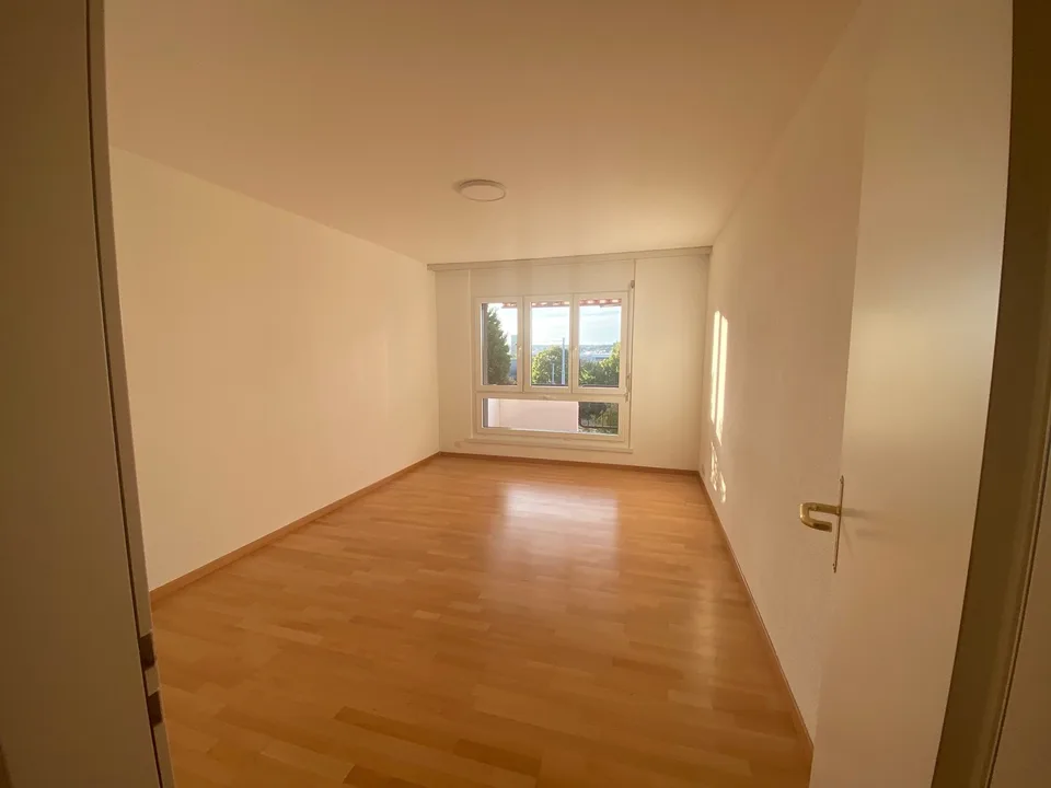 Helle 2,5-Zimmer-Wohnung mit Balkon und Weitsicht am Zürichberg