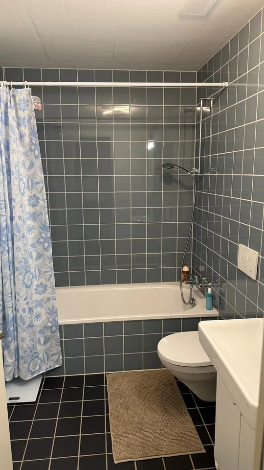 4.5-room apartment in Horgen including 2 parking spaces - Subtenant wanted
