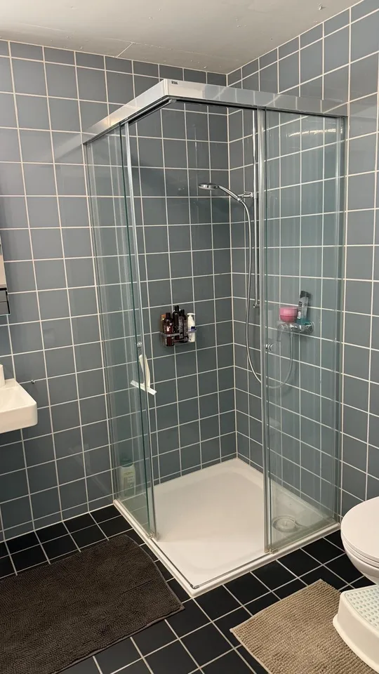 4.5-room apartment in Horgen including 2 parking spaces - Subtenant wanted