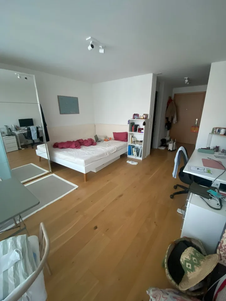 Affitto di un appartamento di 1,5 locali luminoso e moderno a Witikon