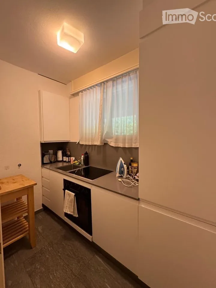 Charming 2.5-room apartment in Olten