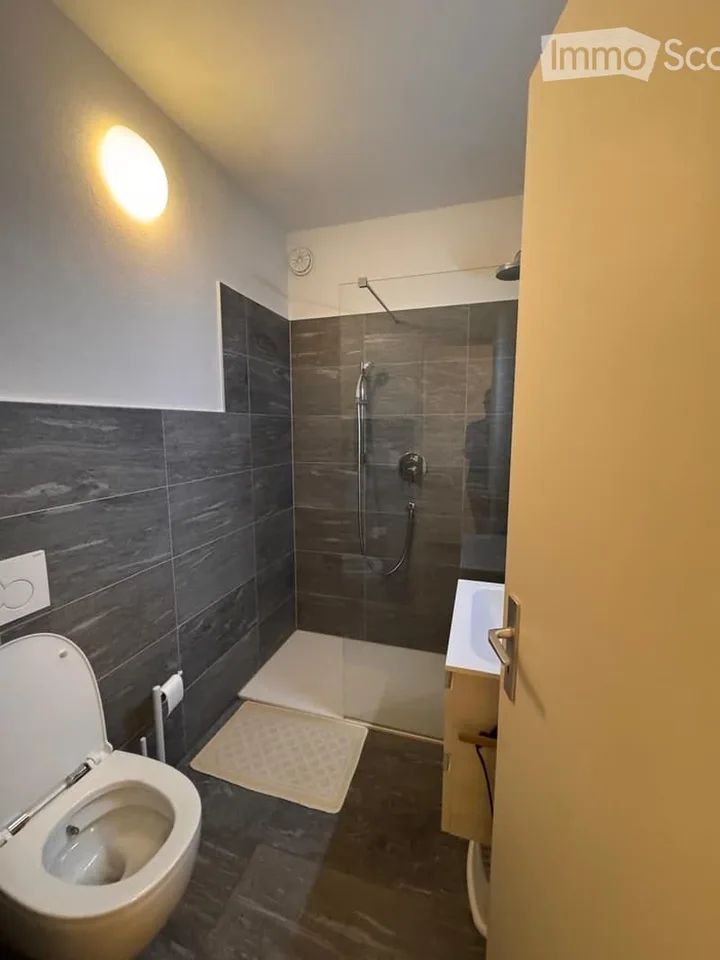 Charming 2.5-room apartment in Olten