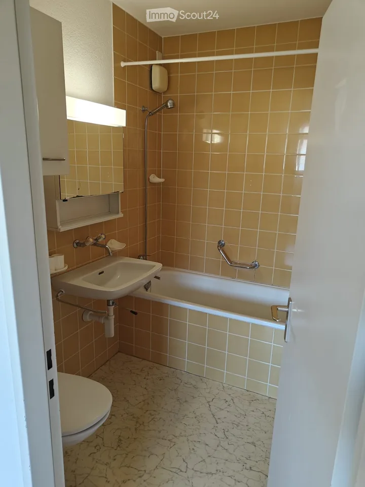 Delizioso appartamento mansardato di 1,5 locali a Ettingen