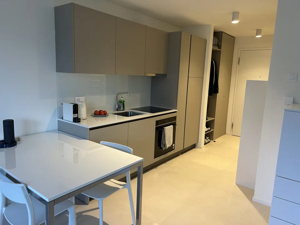 Looking for a sublessee for a modern studio apartment