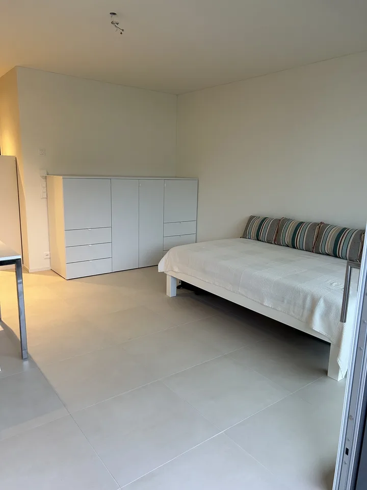 Looking for a sublessee for a modern studio apartment