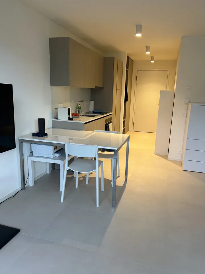 Looking for a sublessee for a modern studio apartment
