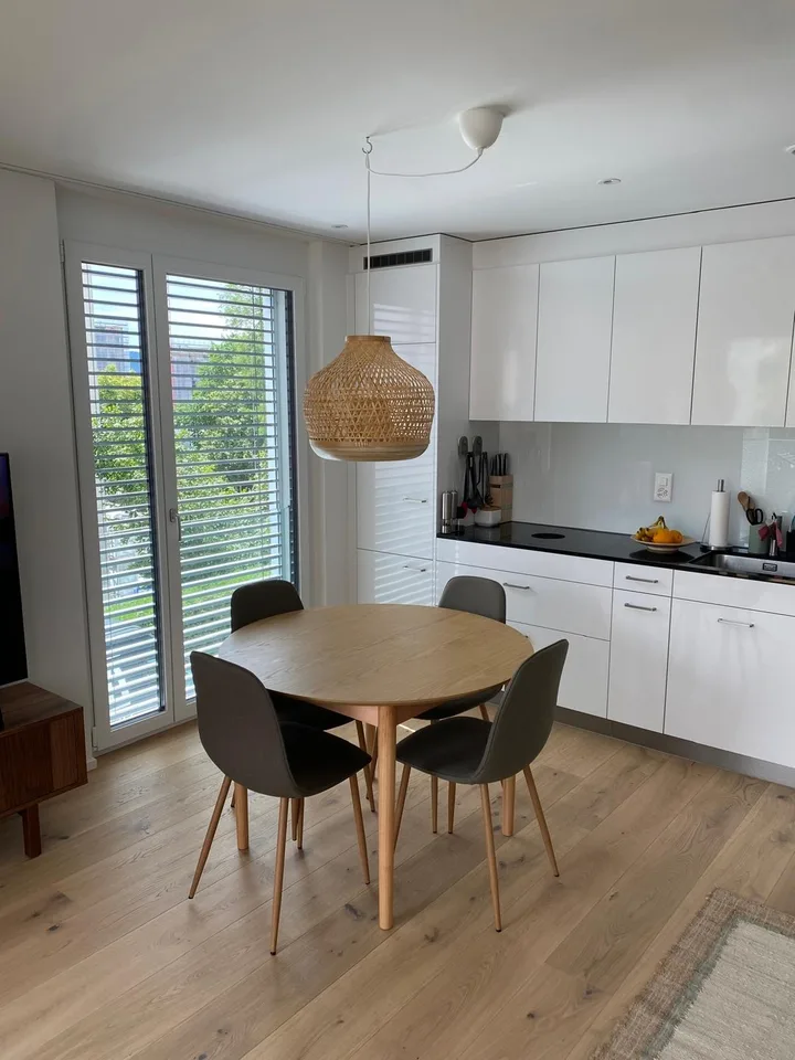 Modern & Sonniges 2.5-Zimmer Apartment in Wipkingen Nahe der Limmat