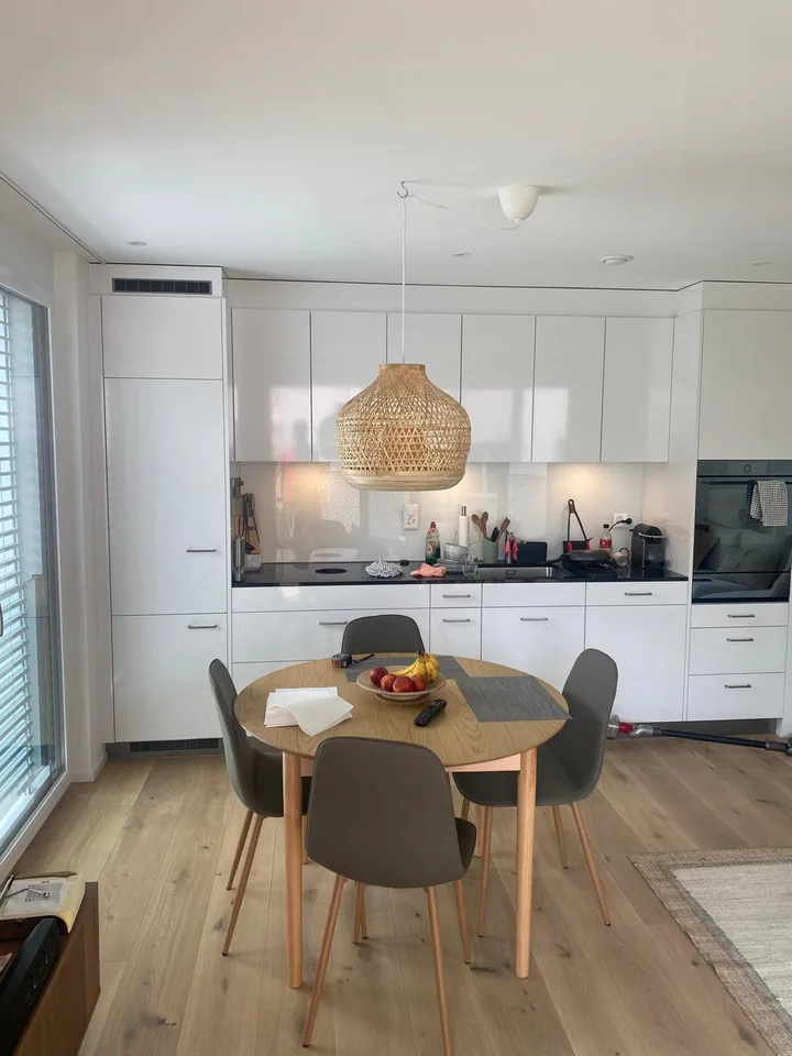 Modern & Sonniges 2.5-Zimmer Apartment in Wipkingen Nahe der Limmat