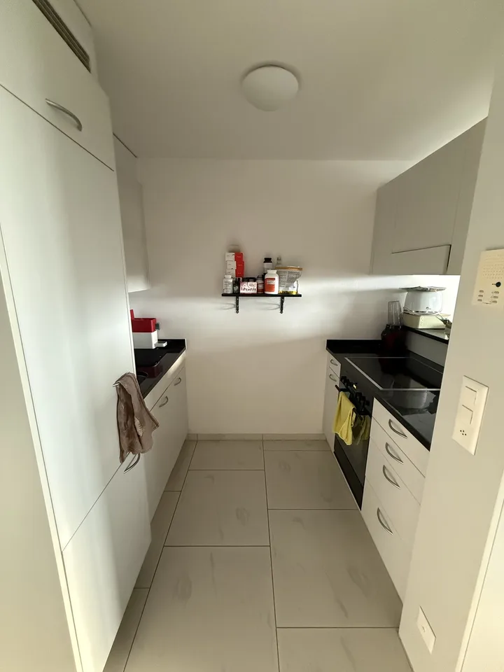 Appartement 2½ pièces lumineux avec belle soirée ensoleillée