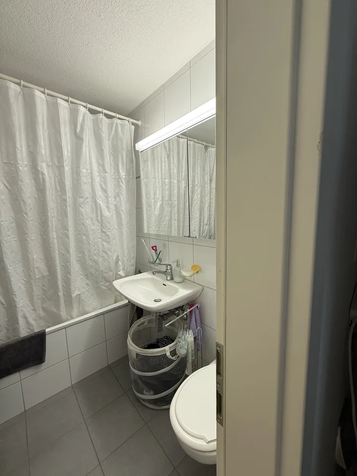 Appartement 2½ pièces lumineux avec belle soirée ensoleillée