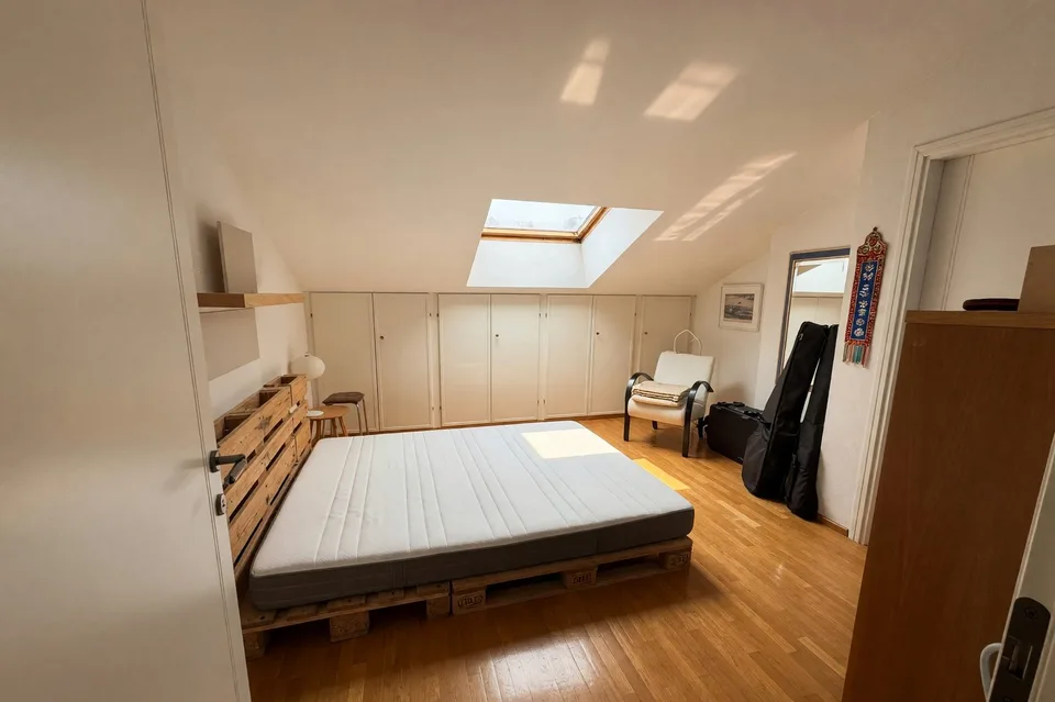 Beautiful large duplex with 5.5 rooms, panoramic terrace and fireplace