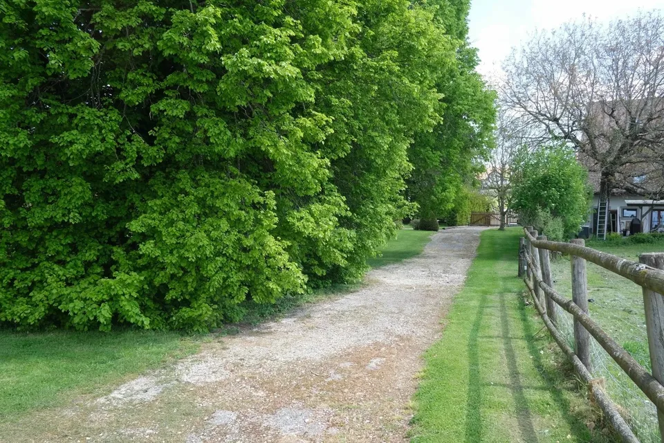 Terreno edificabile per casa di 465 m2 abitabili