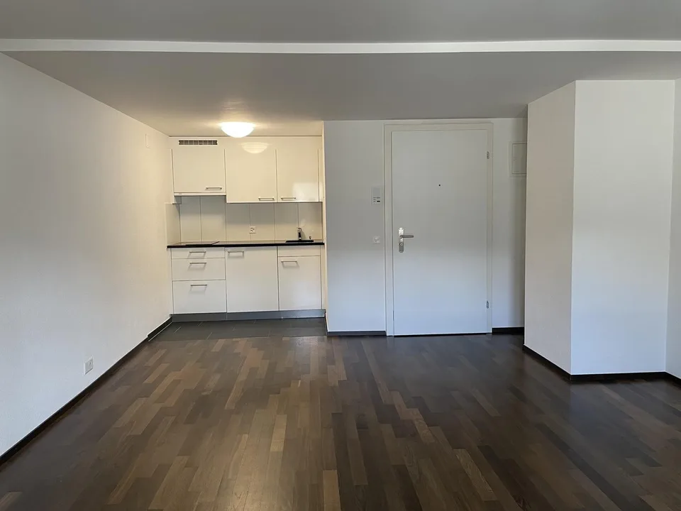 Appartamento 1 ½ locali, 8330 Pfäffikon ZH