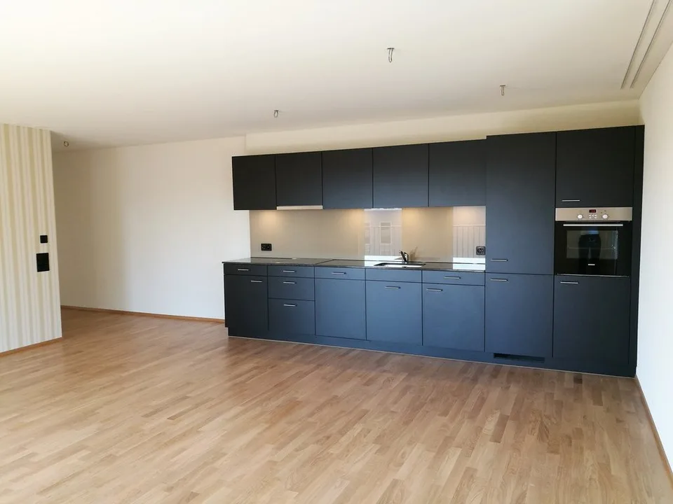 Appartement moderne magnifique