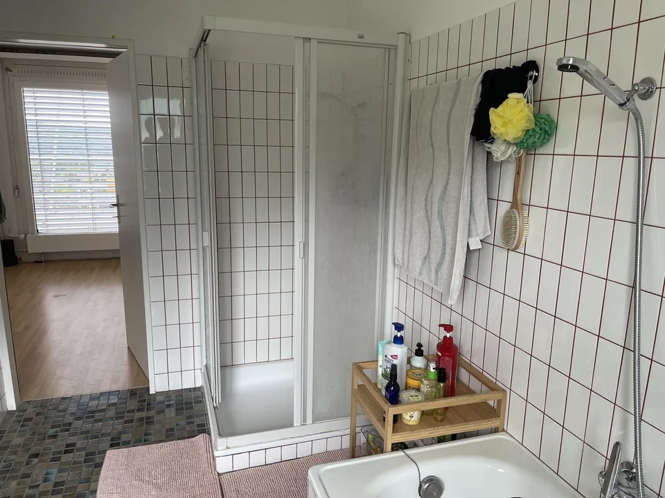 Spacious Room in a Friendly WG near Zurich
