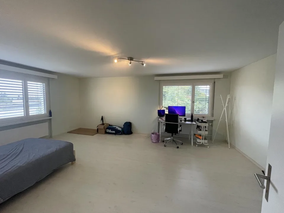 Spacious Room in a Friendly WG near Zurich